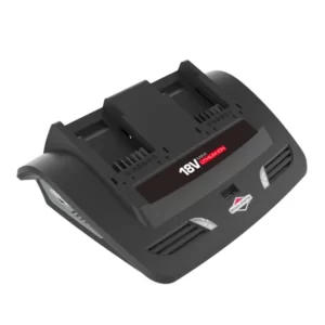 BRIGGS & STRATTON 18V Twin Charger