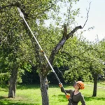 STIHL HTA 135